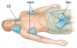 Cách dự phòng và sơ cứu khi bị sốc nhiệt do nắng nóng