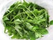 Tác dụng chữa bệnh của rau khoai lang
