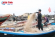 Cảng cá hối hả, du lịch biển bắt đầu sôi động
